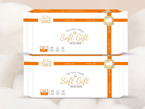 ��˳��GIFTϵ�г�ȡϴ����JSM-5099